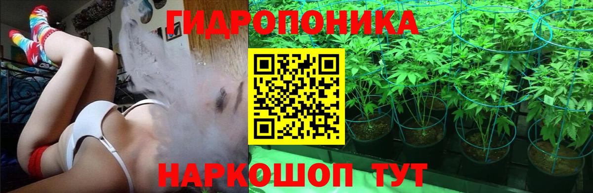 Канабис сатива Ижевск